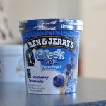 Ben & Jerry’s Greek Style Frozen Yogurt Blueberry Cheesecake