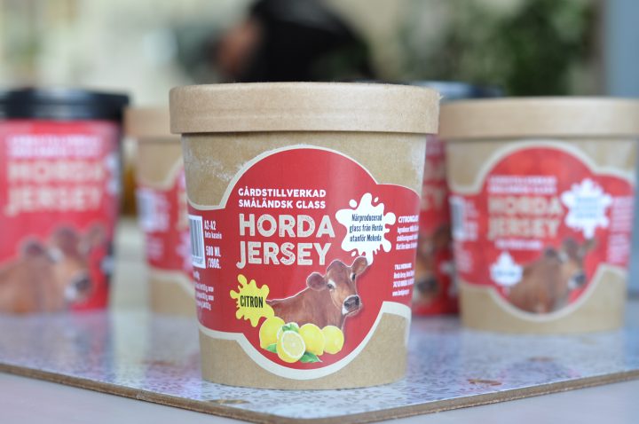 Horda Jersey Citron